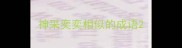 神采奕奕相似的成语