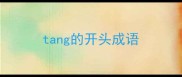 tang的开头成语