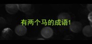 有两个马的成语