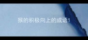 猴的积极向上的成语