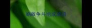 蜗蚁争斗组成成语