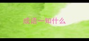 成语一知什么