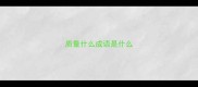 质量什么成语是什么