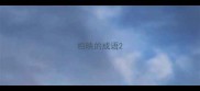 相映的成语