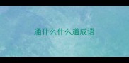 通什么什么道成语