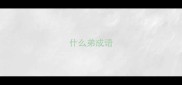 什么弟成语