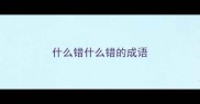 什么错什么错的成语