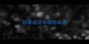 脸鼻成语有哪些成语