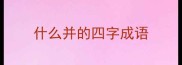 什么并的四字成语