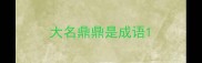 大名鼎鼎是成语