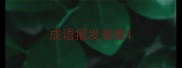 成语擢发难数