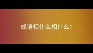 成语相什么相什么