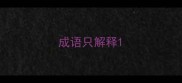 成语只解释