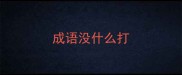 成语没什么打