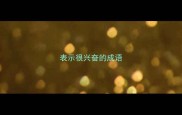 表示很兴奋的成语