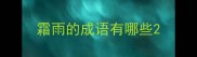 霜雨的成语有哪些