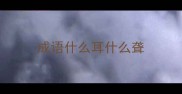 成语什么耳什么聋