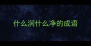 什么润什么净的成语