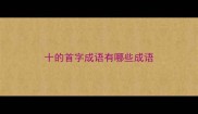 十的首字成语有哪些成语