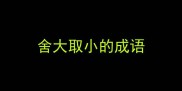 舍大取小的成语