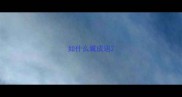 如什么翼成语