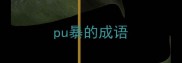 pu暴的成语