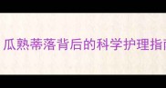 产后恢复黄金期瓜熟蒂落背后的科学护理指南新手妈妈必看