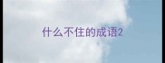 什么不住的成语