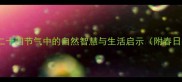 春回大地二十四节气中的自然智慧与生活启示附春日养生指南