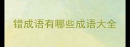 错成语有哪些成语大全