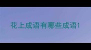 花上成语有哪些成语