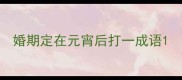 婚期定在元宵后打一成语