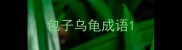 包子乌龟成语