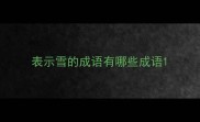 表示雪的成语有哪些成语