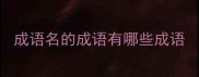 成语名的成语有哪些成语