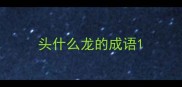 头什么龙的成语