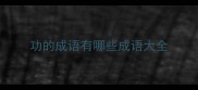功的成语有哪些成语大全