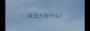 成语大街什么