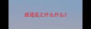 成语言之什么什么