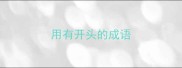用有开头的成语