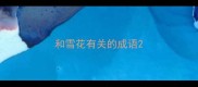 和雪花有关的成语