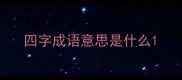 四字成语意思是什么