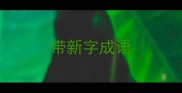 带新字成语