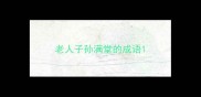 老人子孙满堂的成语