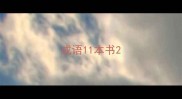 成语11本书