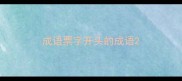 成语票字开头的成语