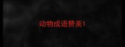 动物成语赞美