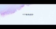个子最高成语