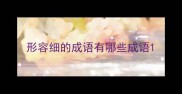 形容细的成语有哪些成语