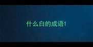 什么白的成语